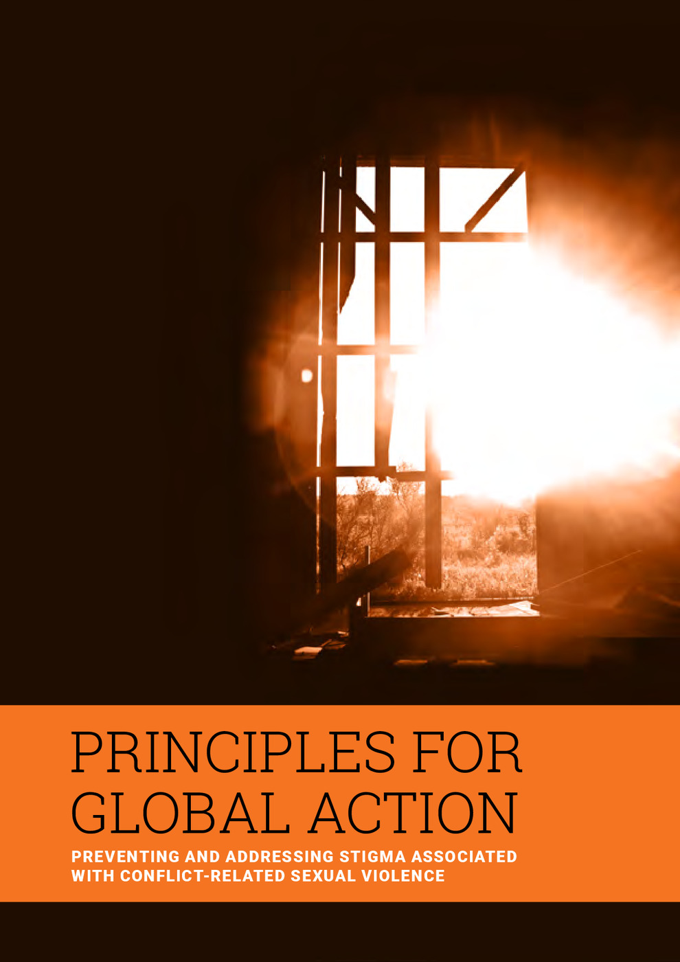 Principles for Global Action: Preventing and Addressing Stigma Associated with Conflict-Related Sexual Violence