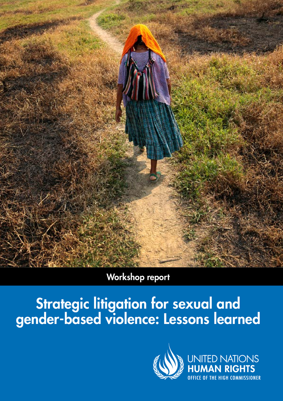 Strategic Litigation for Sexual and Gender-based Violence: Lessons Learned Workshop Report 