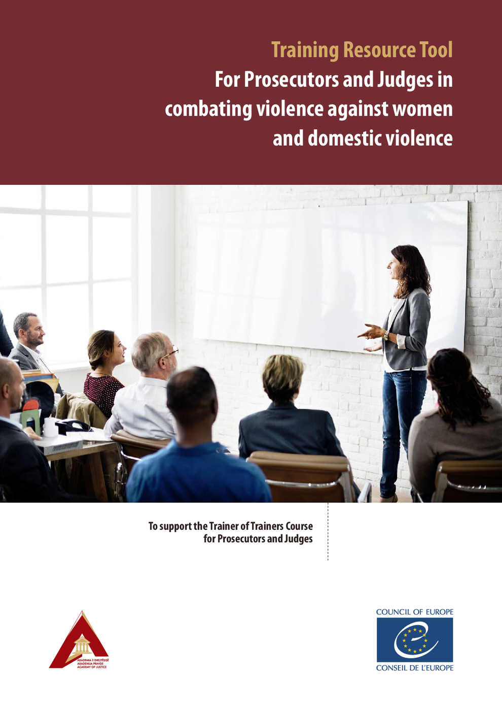 Training Resource Tool For Prosecutors and Judges in combating violence against women and domestic violence 