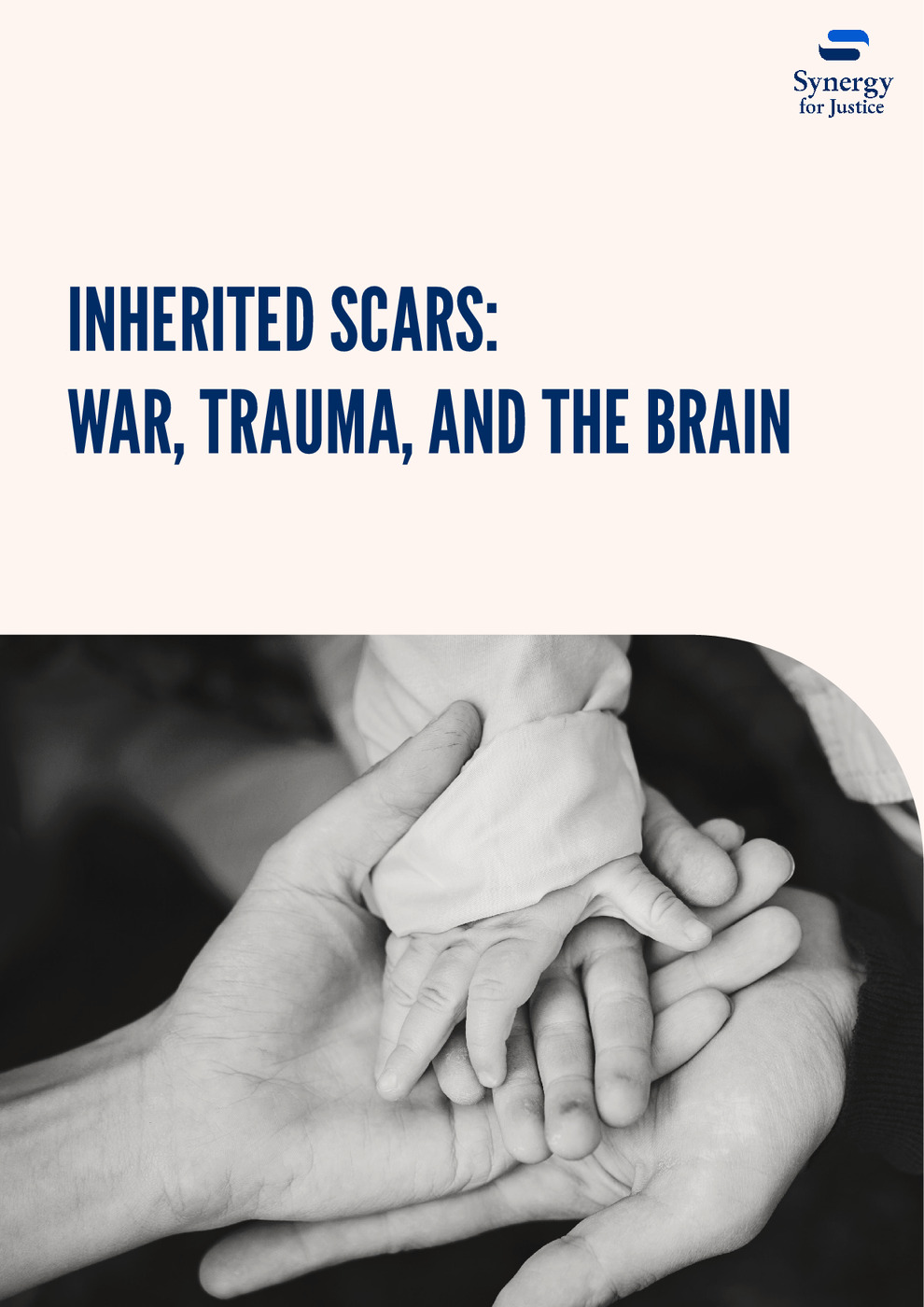 Inherited Scars: Intergenerational Transmission of Trauma Following Sexual Violence